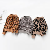 Pullover Leopard Knit Jumper